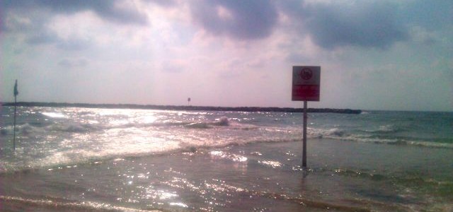Going Back to Tel Aviv Going Back to Tel Aviv