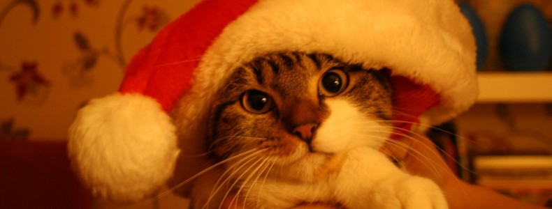 Spending Christmas with Your Ex.