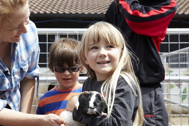 How to make Dairylea.