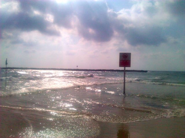 Going Back to Tel Aviv