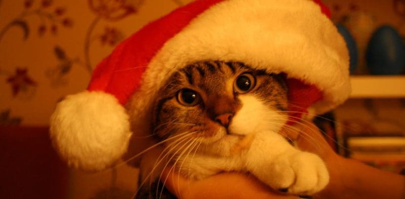 Spending Christmas with Your Ex.