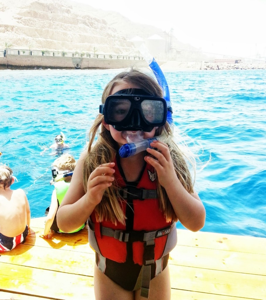 snorkelling in the red sea 