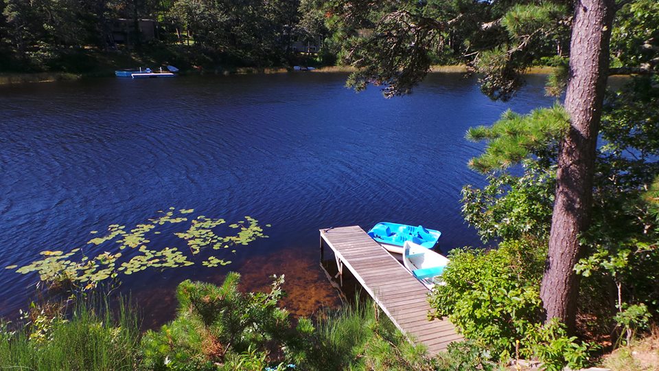 cape cod view from deck