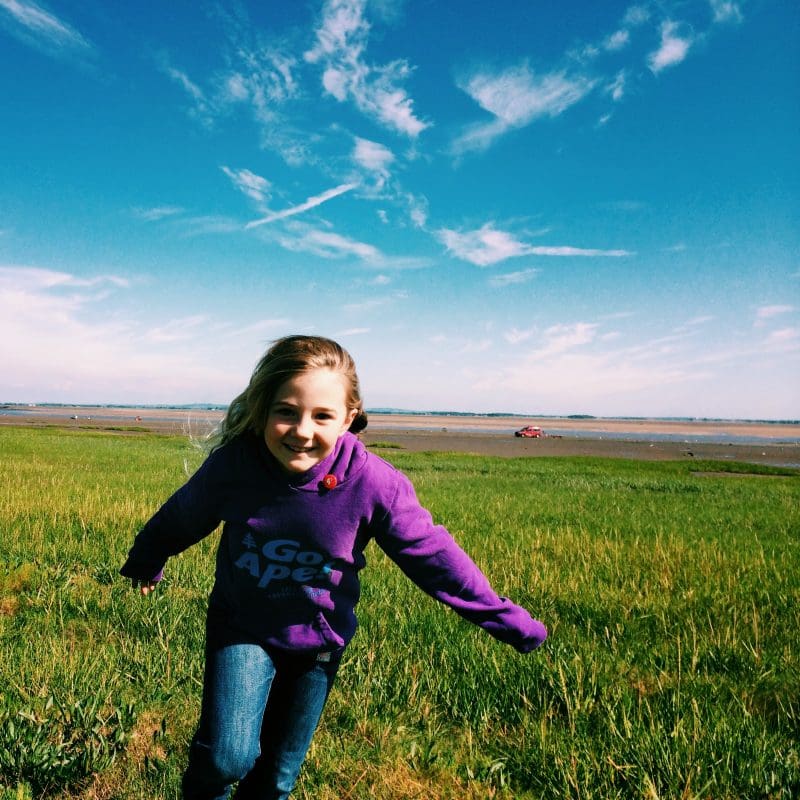 The End of Term Report