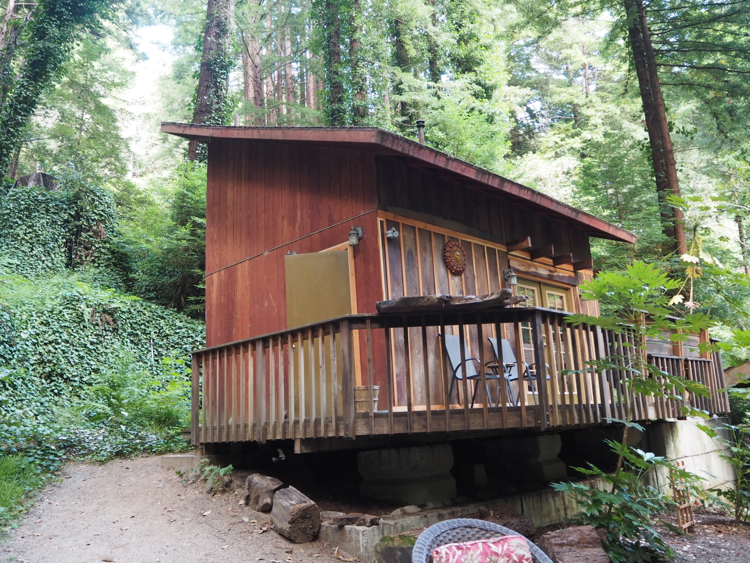 cabin in big sur redwoods