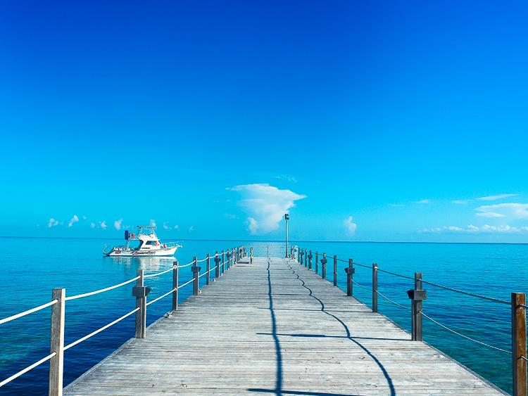 12189518_10153036439037000_5548004280545925264_n