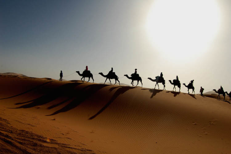 camel trek dubai