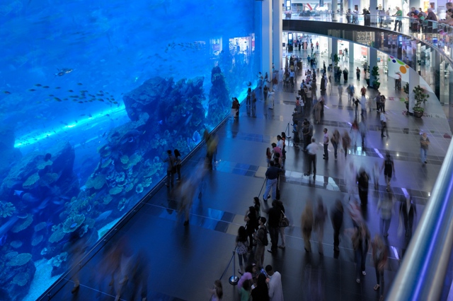 dubai aquarium