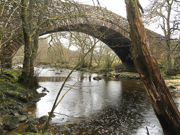 kielder castle grounds