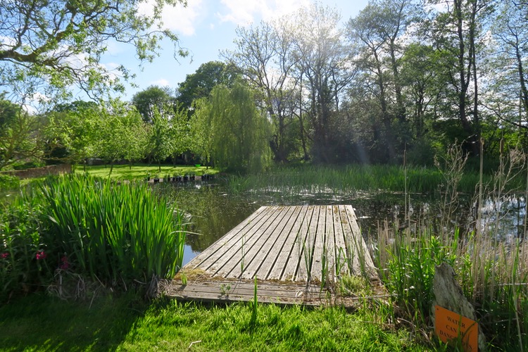 wild swimming featherdown farms