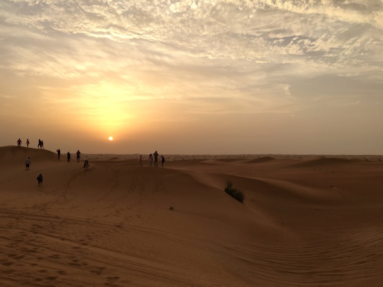 sunset dubai reserve conservation