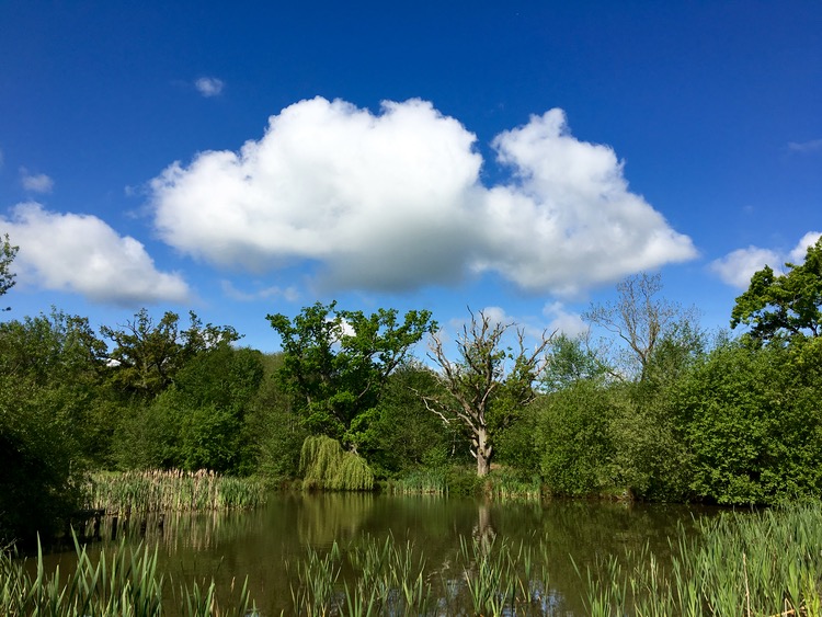 featherdown farms shropshire