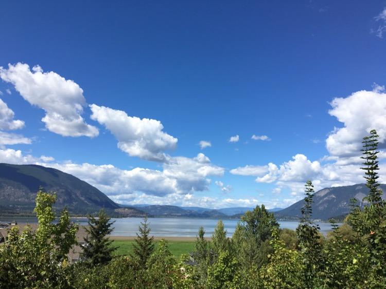 salmon arm shuswap