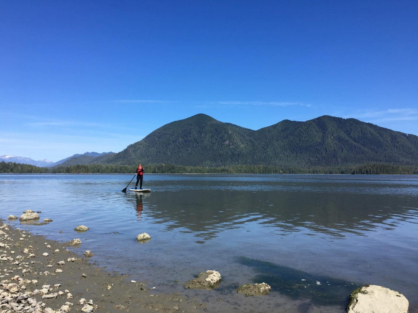 paddleboarding in tofino