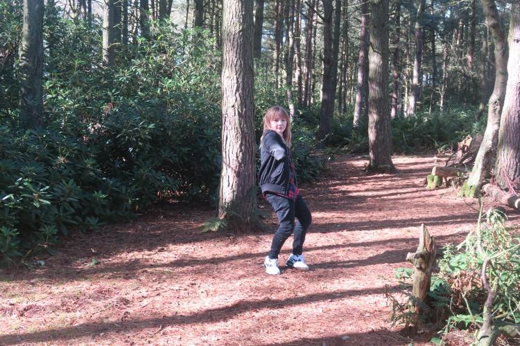 forest trail darwin country park