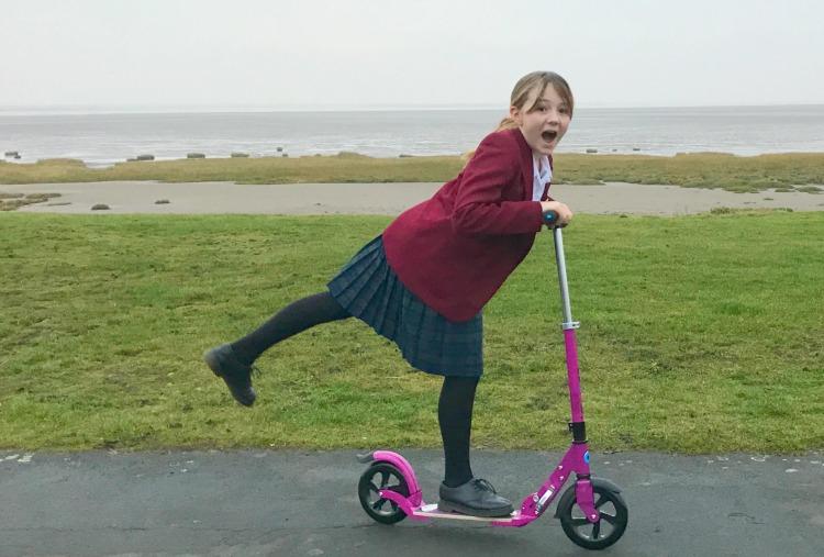 micro scooter flex for adults