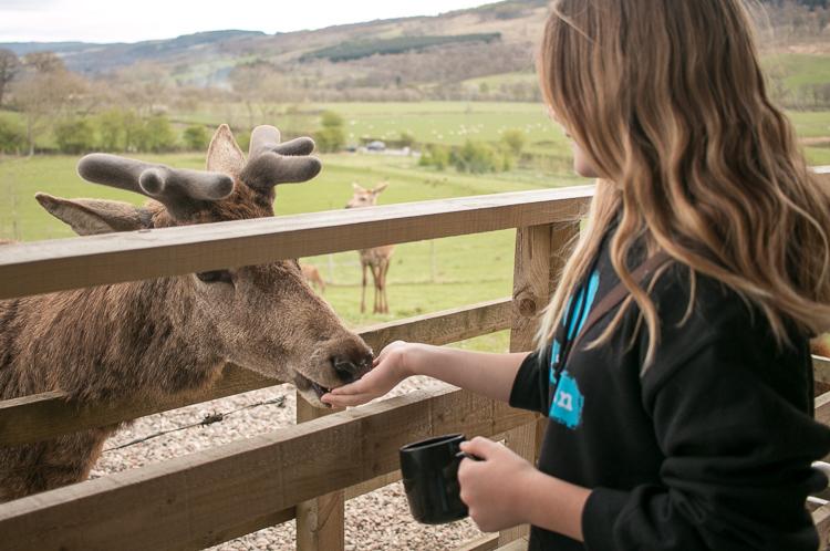 highland safaris review