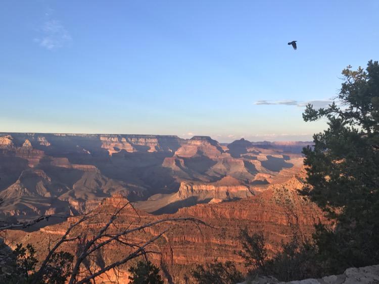 south rim Grand Canyon
