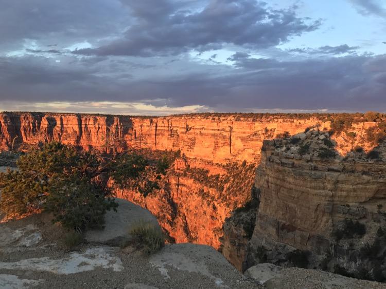 visiting grand canyon with kids