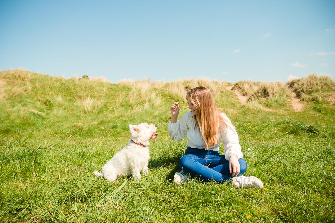 tips for keeping dogs healthy in summer