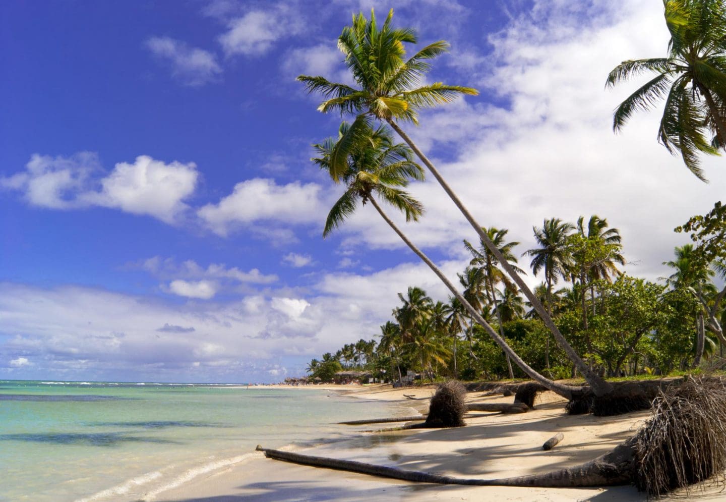Grand Bahia Principe Samana Review