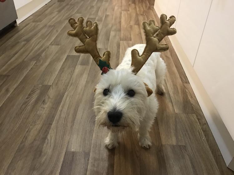 how to feel more festive