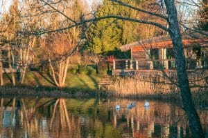 brompton lakes lodge review