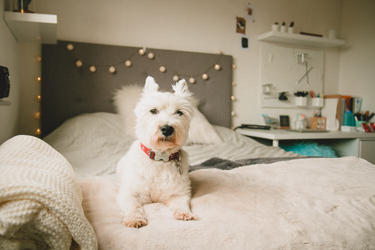 new build home teddy bedroom