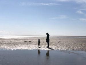 Natural Adventures with James Wellbeloved