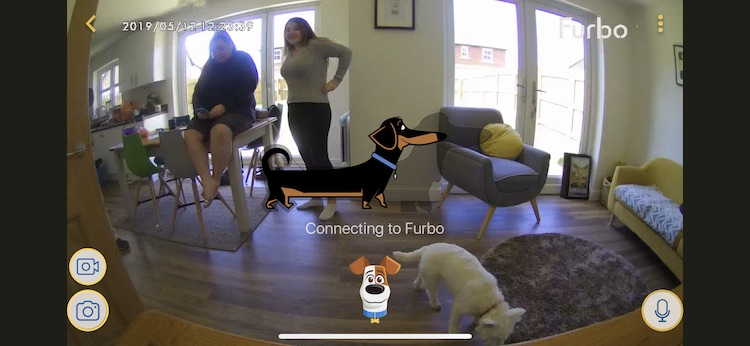 Furbo review