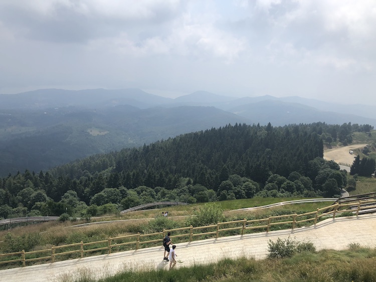 Hotel Simplon, honest review