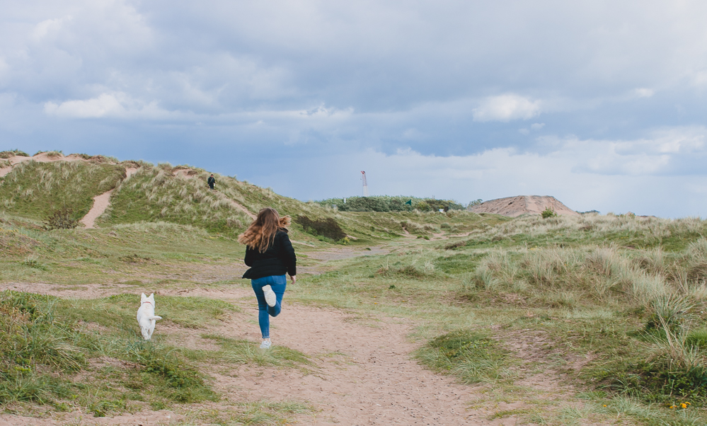 dog walks beach lytham