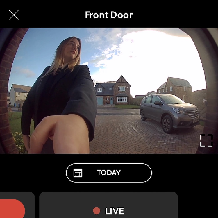 flea at the front door