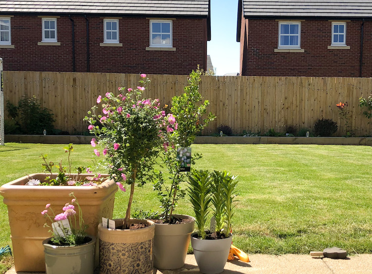 planting in new build gardens