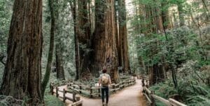 adoption and birth parents