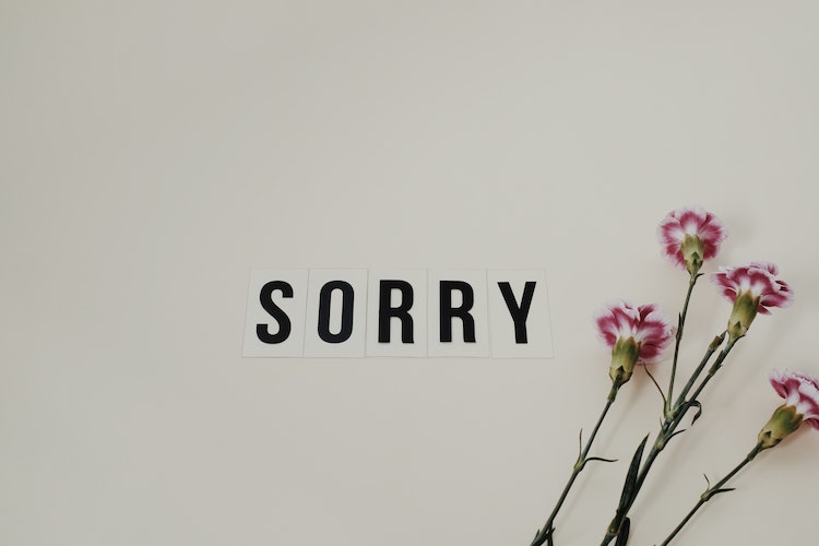how to apologise