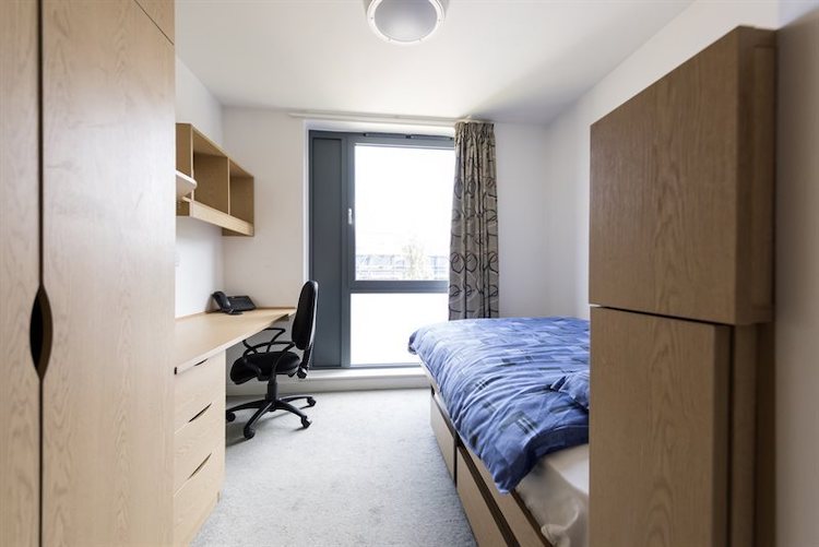 summer school accommodation