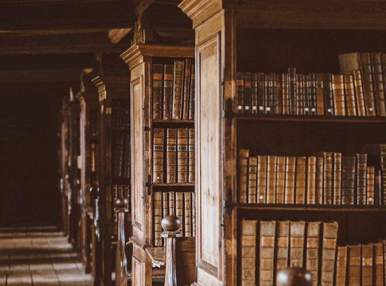 university summer school 2024