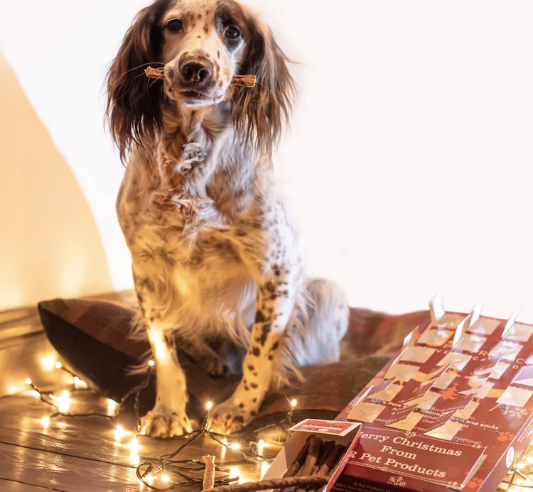 best uk dog advent calendar