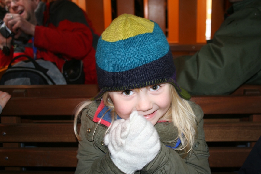 flea at drayton manor