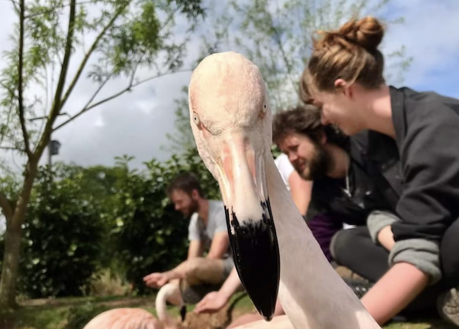 experience gifts teens uk